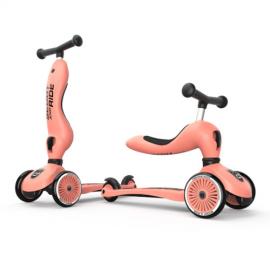 Monopattino Evolutivo 2 in 1 Highwaykick 1 - Pesca